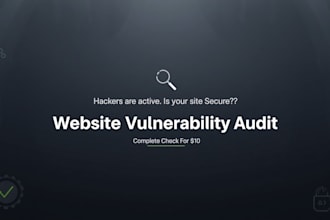 run a professional website security scan for vulnerabilities