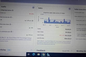 be your expert ebay virtual assistant