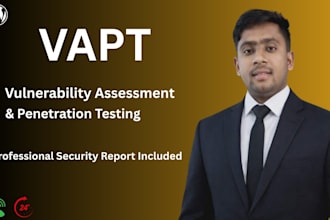 do professional vapt and pentest on website