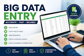 be your big data entry expert