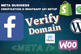 fix meta business verification whatsapp api setup and domain verify