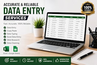 organize and enter your data professionally