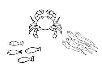 design sea animals coloring book for kids
