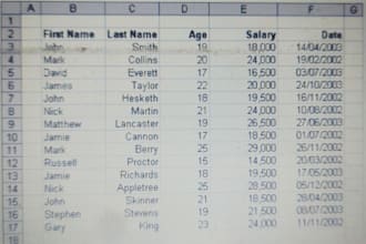 do professional data entry and web research copy paste work