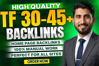 authority backlinks, homepage manual link building