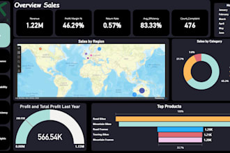 create professional power bi dashboards and data analysis
