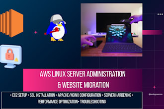 fix website, hosting, SSL, dns and server errors