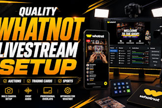 setup professional whatnot stream for trading cards auctions and sports