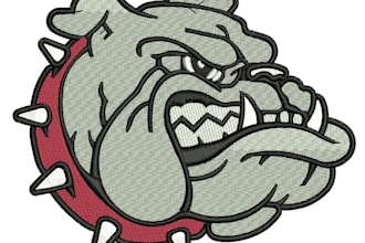 do professional embroidery digitizing with fast delivery