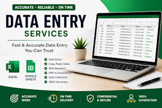 do accurate data entry in exel and google sheets