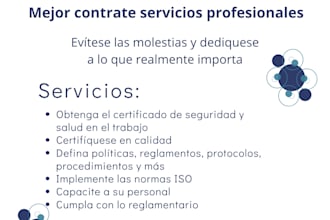 management systems and organizational support consultant