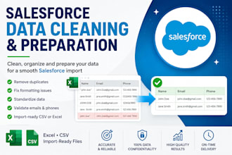 clean and prepare your data for salesforce import