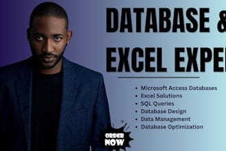 do database, microsoft access, excel, and sql projects