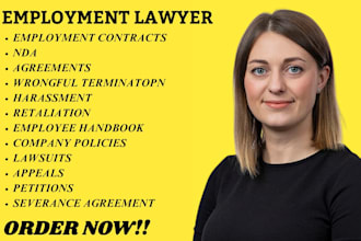 employment attorney for contract review,workplace harassment,employment playbook