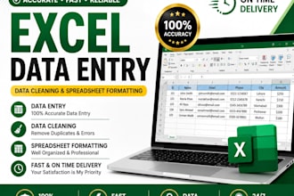 excel data entry, data cleaning, and spreadsheet formatting