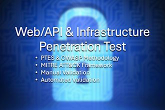 pentest your web application, API, or internal network
