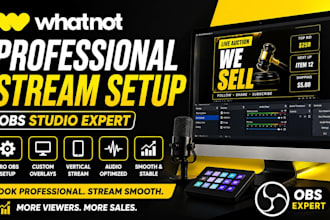 setup your whatnot obs stream for professional auction sellers