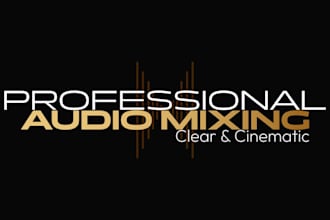 professionally edit, clean, and mix your video audio