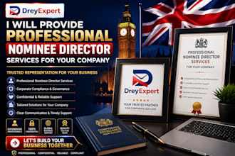 provide professional nominee director service for companies