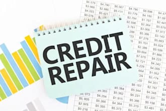 dispute charge offs, inquiries, collections, charge off, and late payments