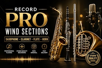 record pro saxophone, clarinet, flute and horn section