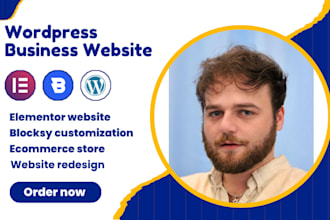 design or redesign wordpress business website with elementor and blocksy