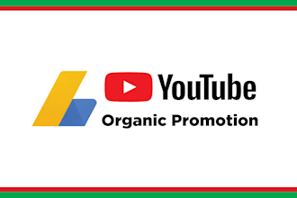 do organic youtube video promotion for usa audience