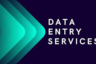 do professional data entry and ms office tasks