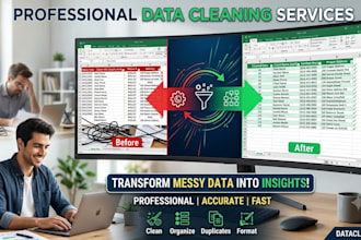 clean, format, organize, and remove duplicates from excel