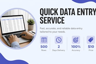 do excel data entry and formatting