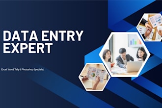do professional excel data entry word formatting and tally work