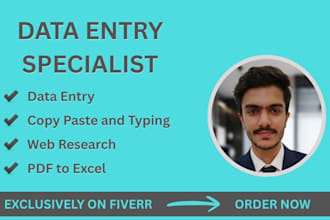 do excel data entry