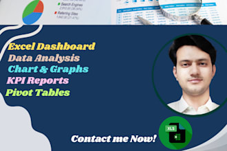 do excel data analysis, and dashboards development