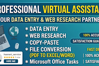 be your professional virtual assistant for data entry and web research