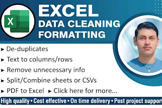 do data entry , data cleaning in excel
