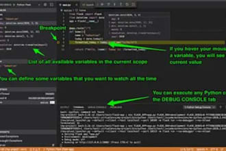 provide expert python code review and testing