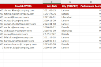 professional excel data cleanup