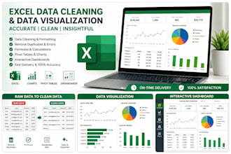 do excel data cleaning,visualization and transform