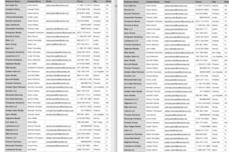 clean and format your messy contact or business list