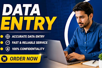 do data entry copy paste typing and document formatting with accuracy