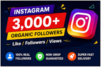 provide 3000 real targeted USA instagram followers