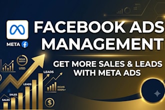 setup and manage high ROI facebook and instagram ads