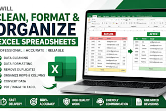 format and organize excel spreadsheets professionally