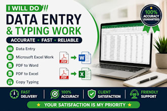 do data entry, microsoft excel, copy typing and PDF conversion
