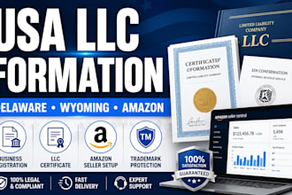register your delaware llc, wyoming llc and amazon brand registry