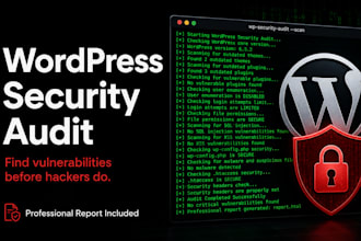 do a security audit of your wordpress website