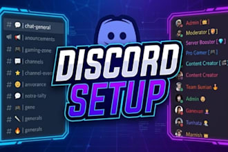 setup a professional discord server for gaming or streaming