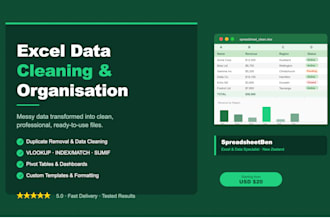 clean and organize your excel spreadsheet or data file