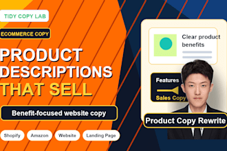 rewrite shopify product descriptions and website copy