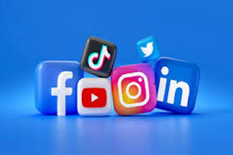 professionally claim inactive username instagram, twitter, x, tiktok